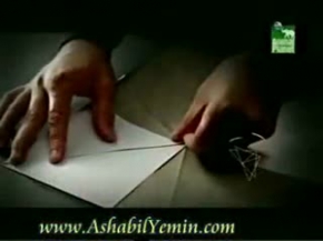 şempanzeler maymun yiyor