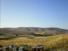 Ã?aÄ?atay arıcılık iftiharla sunarrrrrrrrr,