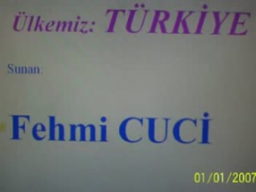 Türkiye: Adım Adım Türkiye (fehmicuci.myblog.de)