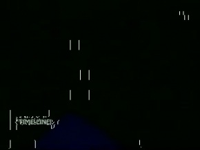 SYED nay karbala may