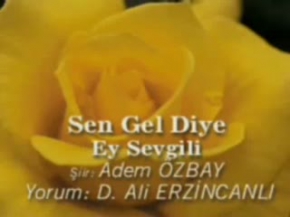 D.ALİ ERZİNCANLI