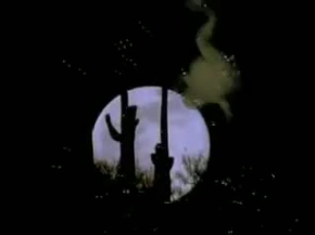 National Geographic - Bullfrog