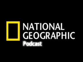 Polar Bear Attacks Ring Seal - National Geographic