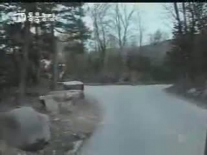 Lion owns male Tiger