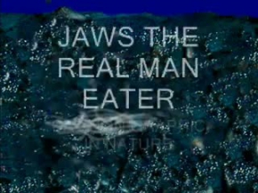 great white shark a man eater''