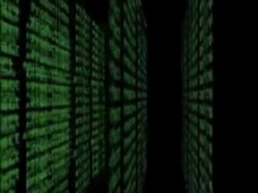 Amazing Great White Shark Cage Diving South Africa