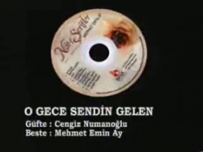 Mehmet Emin Ay - O Gece Sendin Gelen  