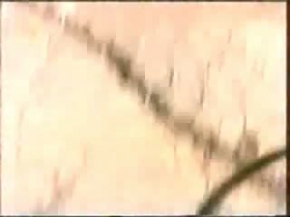 Baboon Vs Crocodile. Baboons Destroy Crocodiles,Baboons wins