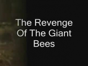 Revenge of the giant bees
