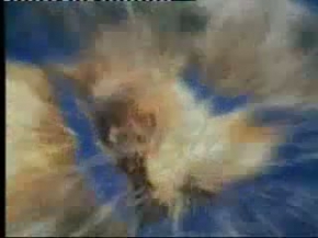 Osmanlı Su Kuyusu - Mekke 11