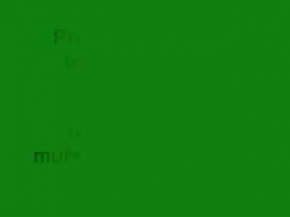 preveze deniz savaşı turkish pirates