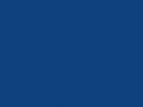 BARBAROS HAYRETTİN PAŞA