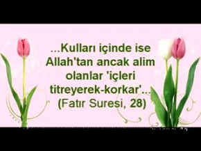 HAYVANAT BAHÇESİNİN EN KÜÇÜĞÜ BEYAZ ASLAN YAVRUSU