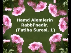 YAVRU KEDİ UYUYAKALIYOR