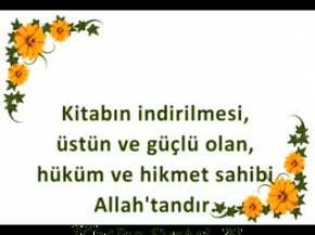 UYUYAN SEVİMLİ KEDİ