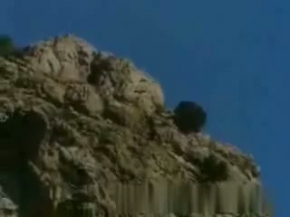 Kartallar ne kadar güçlü