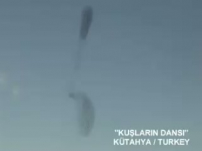 Kuşların Gökyüzündeki Dansı (birds dance)