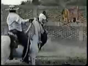 Boğanın Öcünü Aldığı An +18