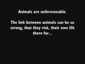 Annelik duygusu işte bu