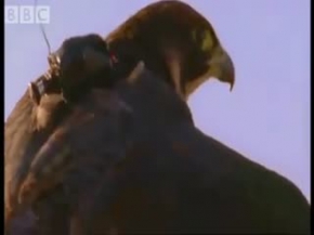 Başınızı Döndürecek