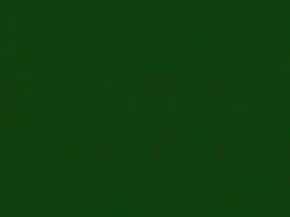 Miniklerin Çanakkale Ruhu