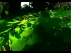 Müziksiz ilahiler 131 - Azmee wasefee