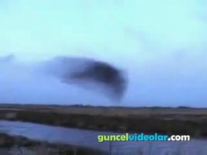 Kuş Sürüsünün İlginç Dansı