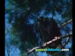 Kartal İle Tilkinin Ölümüne Mücadelesi