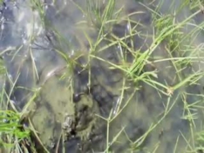 Belgesel BBC Hayat 2 - KISIM 5 / 5