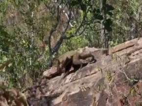 Belgesel BBC Hayat 1 - KISIM 3/ 5