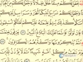 Şefaat nedir?  Ayetlerde ve hadislerde şefaat Bölüm-2