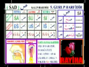 Kuran Öğretmeni - No:15