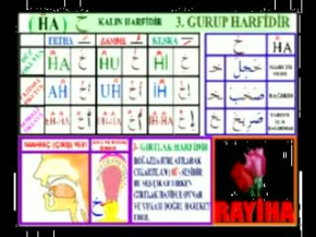 Kuran Öğretmeni - No:8