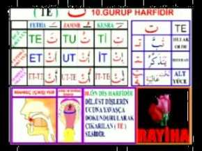 Kuran Öğretmeni - No:4