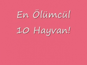 En Ölümcül 10 Hayvan