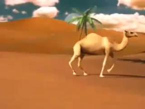 Bütün Sorulanlara Ayetlerle Cevap Veren Kadın