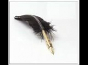 yılmaz erdoğan-beyaz sayfa