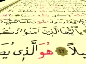 Belgesel / Documentary