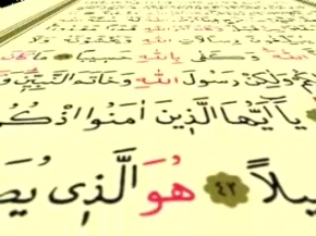 Belgesel / Documentary