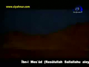 Belgesel / Documentary