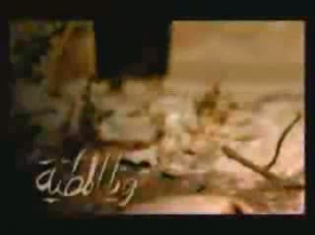 Belgesel / Documentary