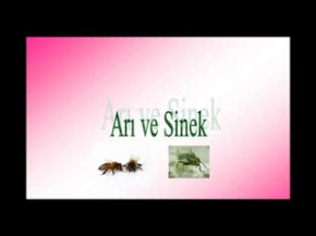 Arı ve Sinek