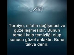 Tasavvuf terbiye okuludur