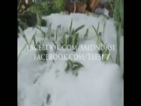 Dünyanın Tesbihatını