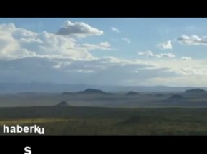 Bukalemunun Muhteşem Silahı: Dil