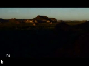 Ekmeğini Taştan Çıkaran Maymunlar