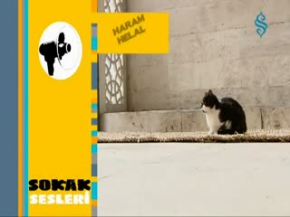 Haram Helal - Sokak sesleri