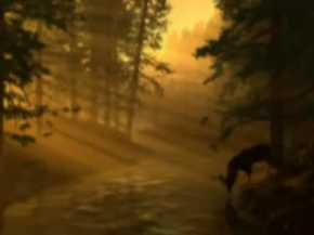 Ömer Karaoğlu - GECE