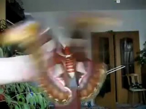 Dünyanin En Büyük Kelebegi.