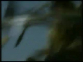 yeni çeriler (TEK PARCA)